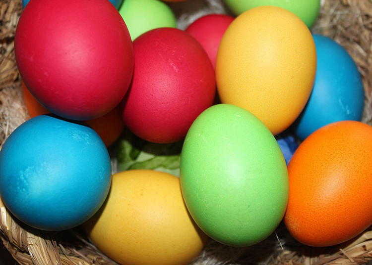 Blick auf viele bunte Ostereier in einem Osternest.