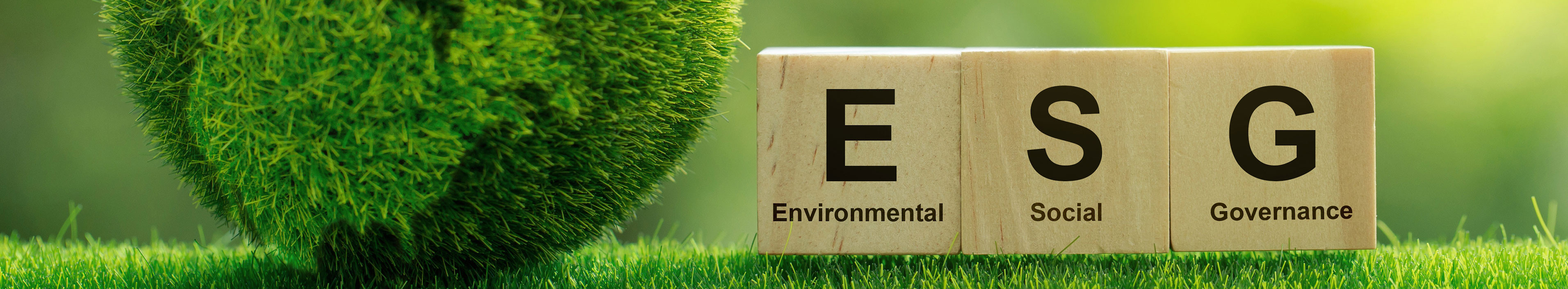 Ein Ball aus Grashalmen zeigt die Umrisse einer Weltkugel. Daneben stehen drei Holzplättchen, auf denen ESG für Environmental Social Governance steht.