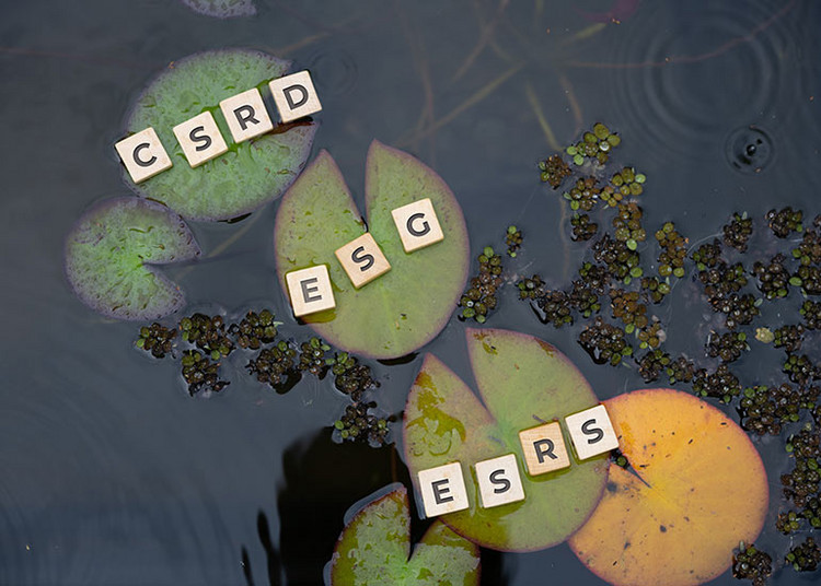 Buchstabensteine mit den Begriffen „CSRD“, „ESG“ und „ESRS“ auf Seerosenblättern im Wasser als Symbol für Nachhaltigkeitsberichterstattung und ESG-Standards.