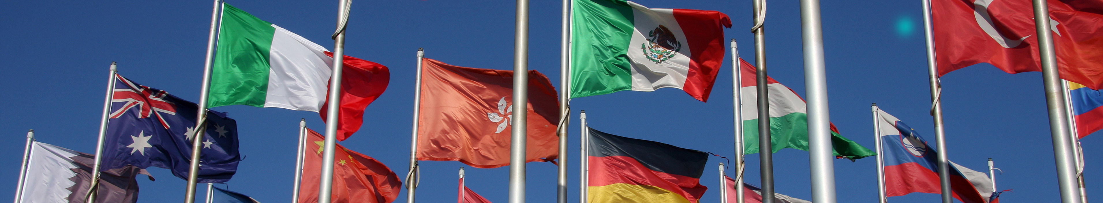 Gruppe von Flaggen verschiedener Nationen.