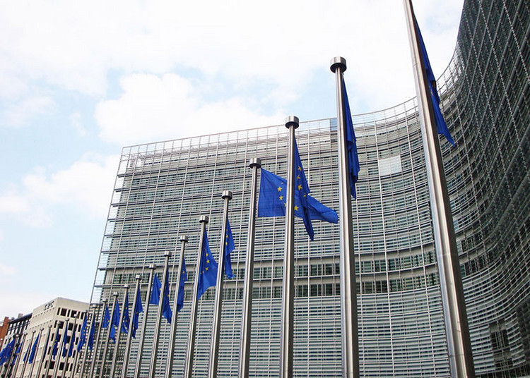 Eine Reihe europäischer Flaggen vor einem Gebäude.