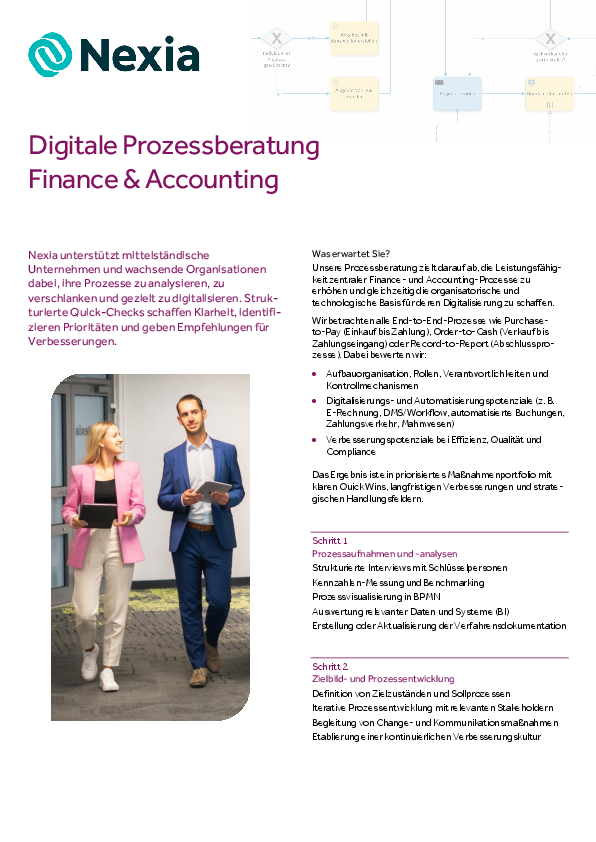 PDF zum Thema: Digitale Prozessberatung Finance & Accounting
