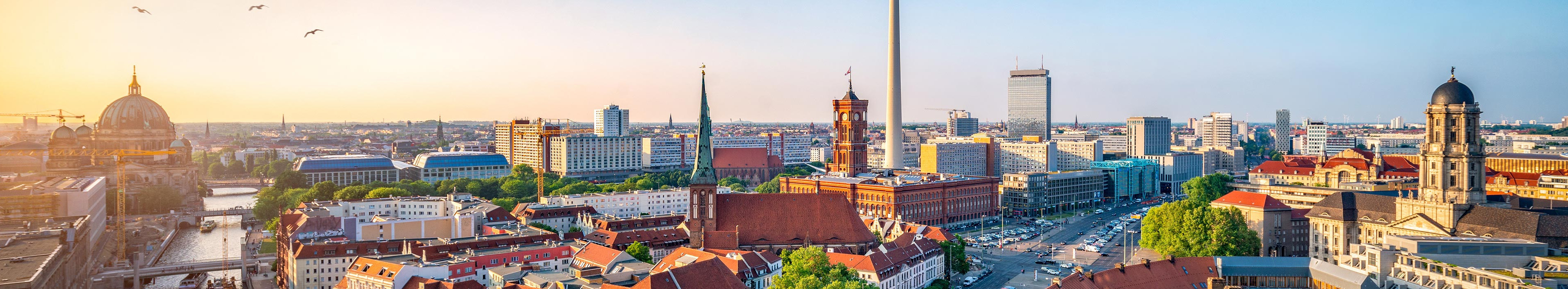 Skyline von Berlin mit Nikolaiviertel, Berliner Dom und Fernsehturm.