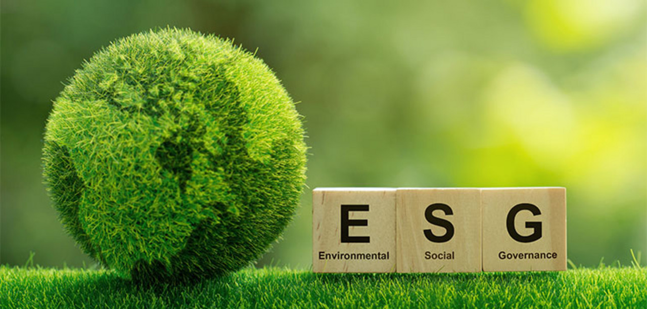 Ein Ball aus Grashalmen zeigt die Umrisse einer Weltkugel. Daneben stehen drei Holzplättchen, auf denen ESG für Environmental Social Governance steht.