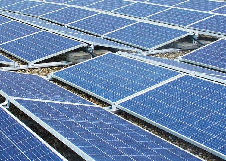 Blick auf eine große Anzahl von Solarpaneelen.