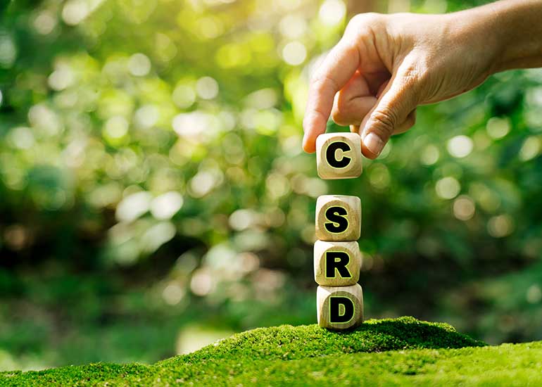 Auf den Würfeln steht der Begriff „CSRD”. Auf jedem Würfel steht ein Buchstabe. Im Hintergrund ist Natur zu sehen.