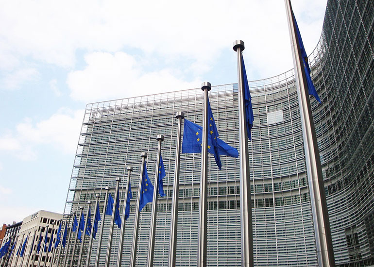 Eine Reihe europäischer Flaggen vor einem Gebäude.