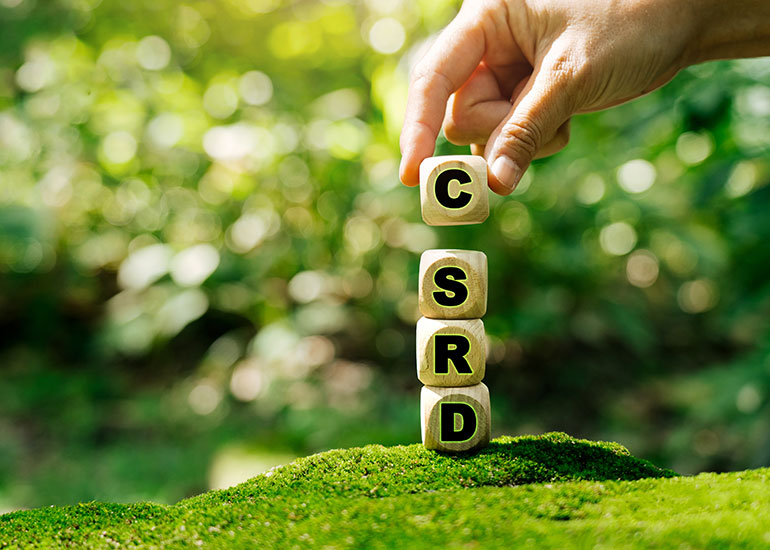 Auf den Würfeln steht der Begriff „CSRD”. Auf jedem Würfel steht ein Buchstabe. Im Hintergrund ist unscharf die Natur zu erkennen.