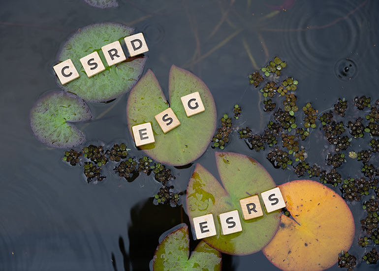 Buchstabensteine mit den Begriffen „CSRD“, „ESG“ und „ESRS“ auf Seerosenblättern im Wasser als Symbol für Nachhaltigkeitsberichterstattung und ESG-Standards.