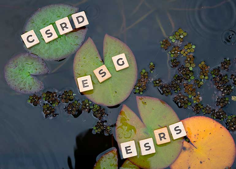 Buchstabensteine mit den Begriffen „CSRD“, „ESG“ und „ESRS“ auf Seerosenblättern im Wasser als Symbol für Nachhaltigkeitsberichterstattung und ESG-Standards.